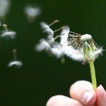 lightness